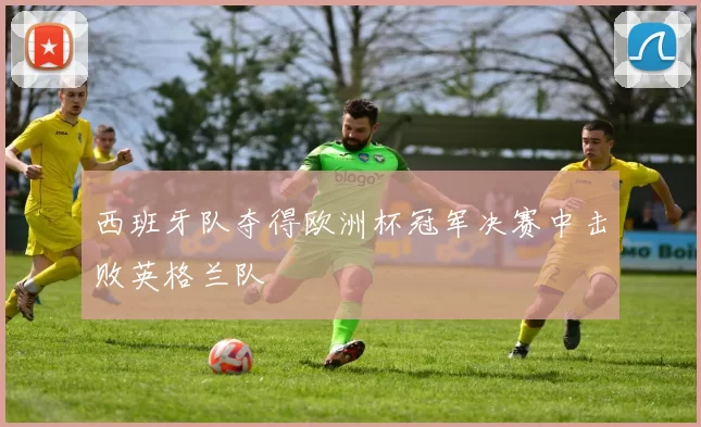 西班牙队夺得欧洲杯冠军决赛中击败英格兰队