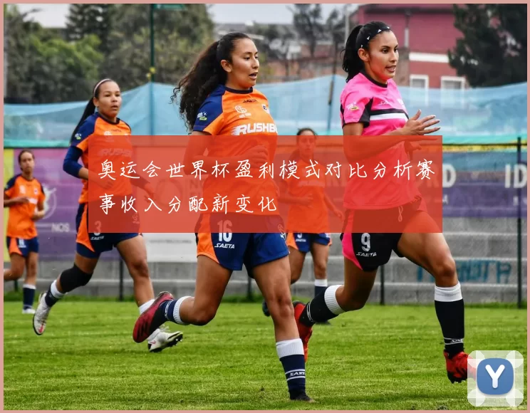 奥运会世界杯盈利模式对比分析赛事收入分配新变化