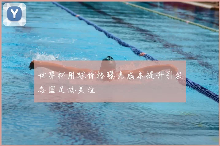 世界杯用球价格曝光成本提升引发各国足协关注