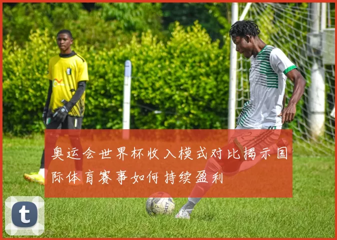 奥运会世界杯收入模式对比揭示国际体育赛事如何持续盈利