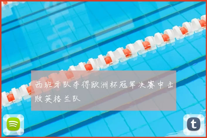 西班牙队夺得欧洲杯冠军决赛中击败英格兰队