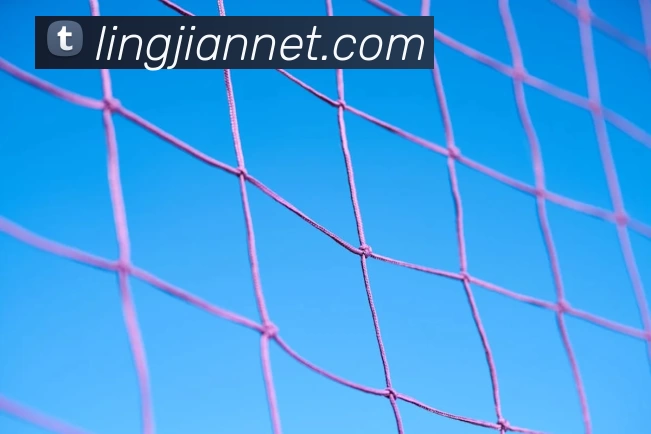 辅助工具 辅助工具